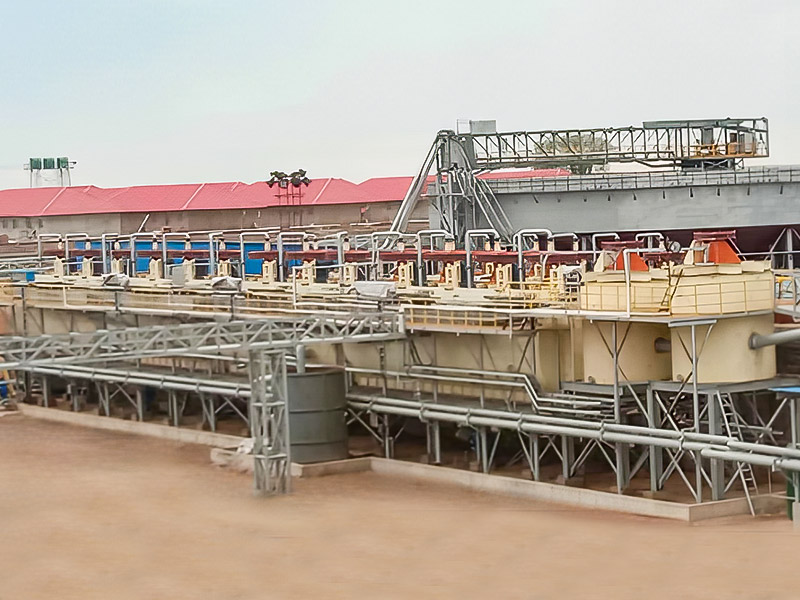 Projeto de Processamento Mineral do Zimbábue Lepidolite 3000T/D - Zhejiang Dingsen Holding Co., Ltd.